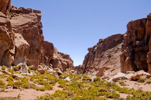 The Nacimiento canyon