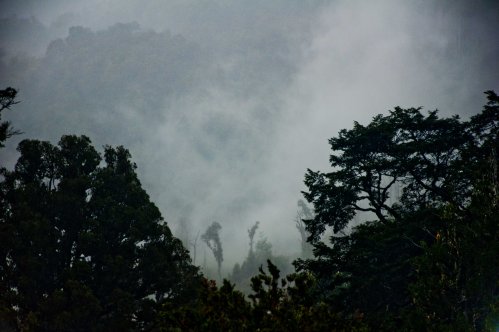 Cloudy Cochamó valley